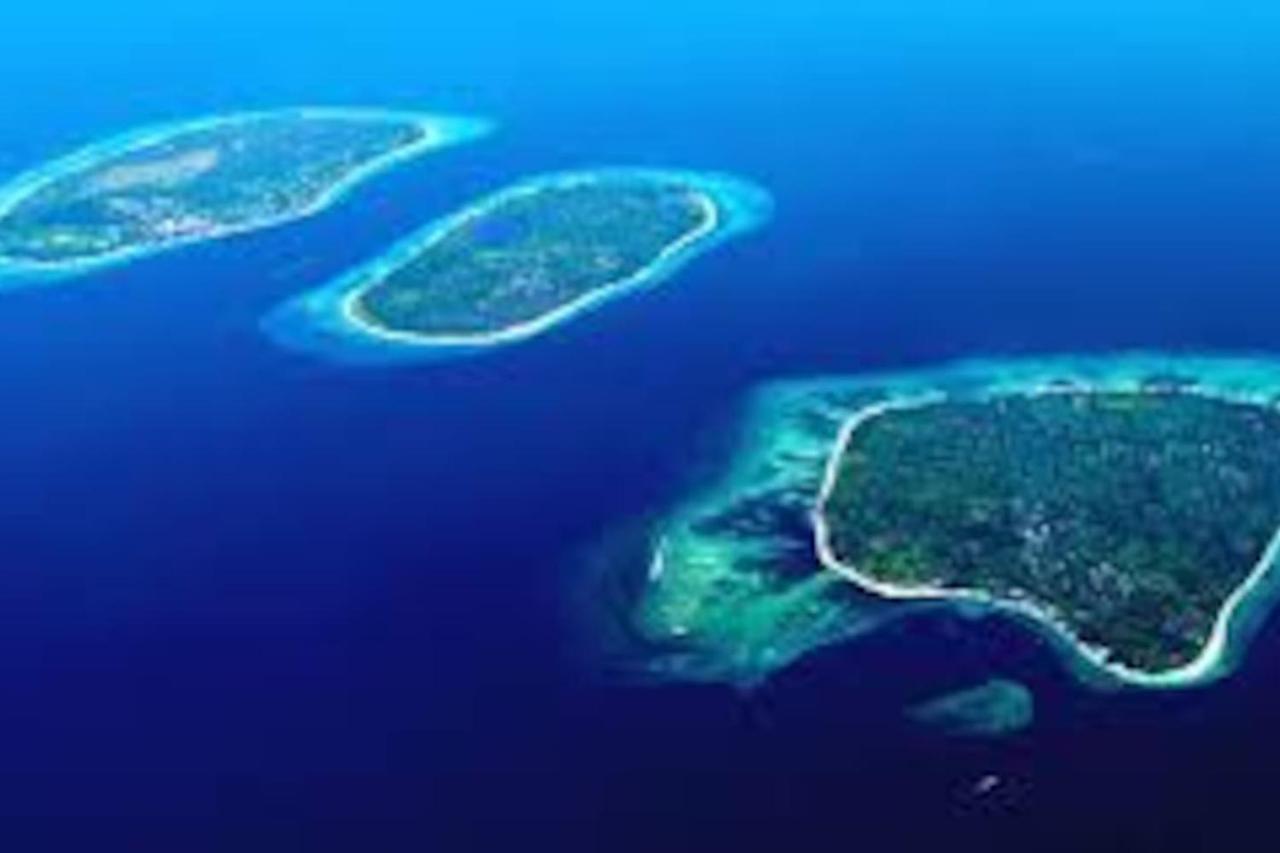 Serenity Luxurious Beachfront Villa & Spa With Private Infinity Pool, 8 Guests 吉利阿尔 外观 照片